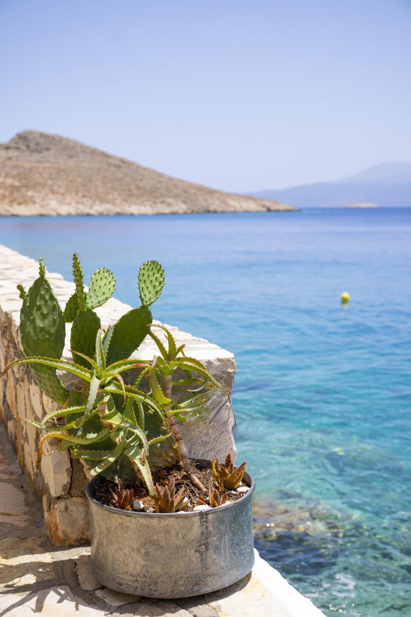 Villa Electra Chalki Town Luaran gambar